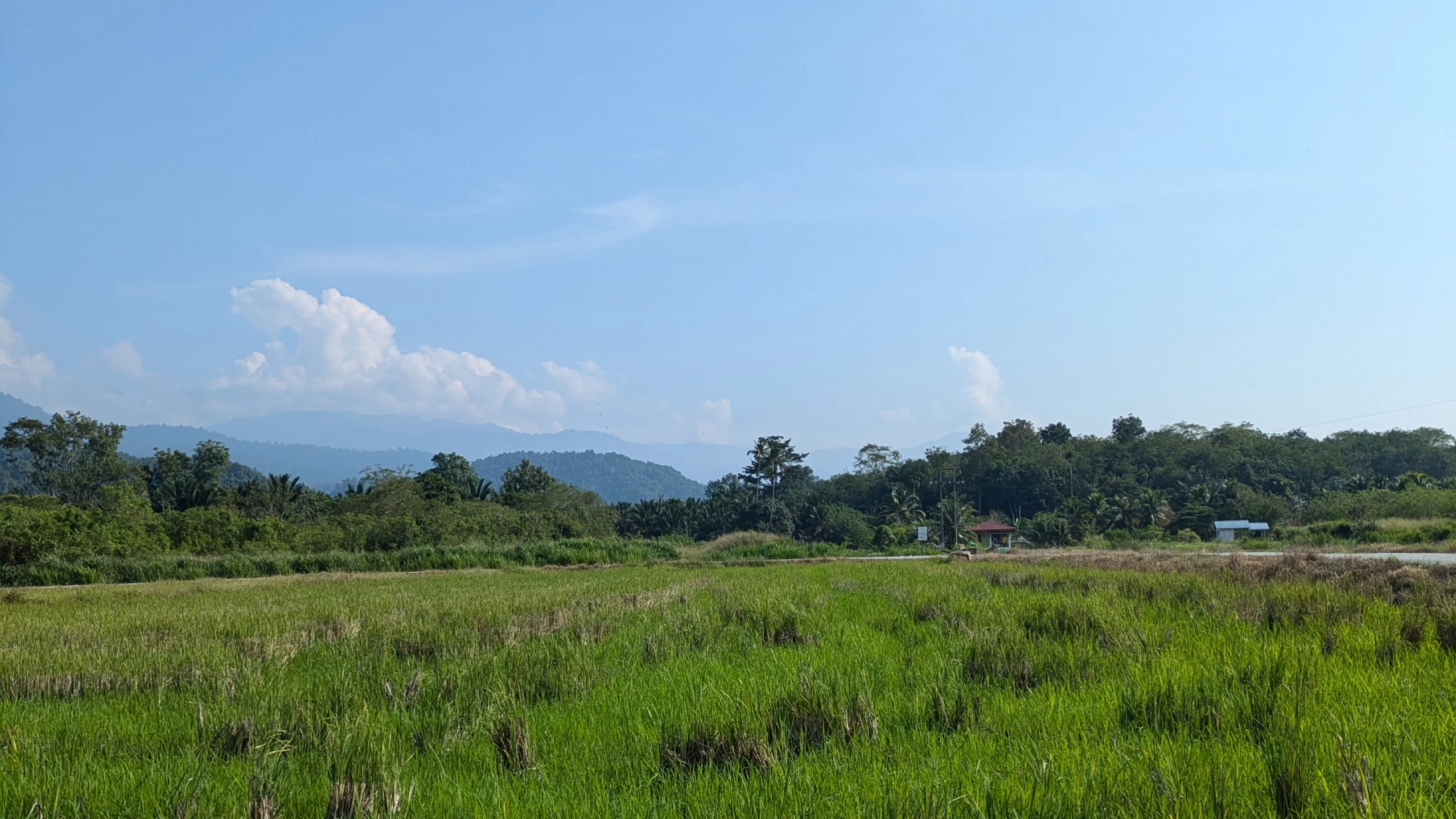 Homestay experience in rural Malaysia
