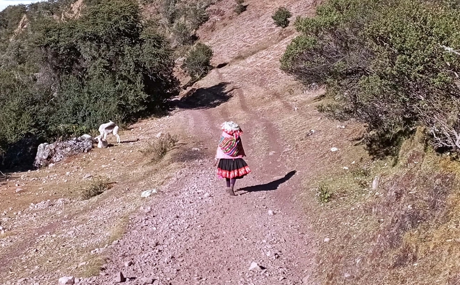 Lady walking in the Andes in colorful traditional gowns.